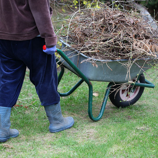 Storm Removal and storm cleanup