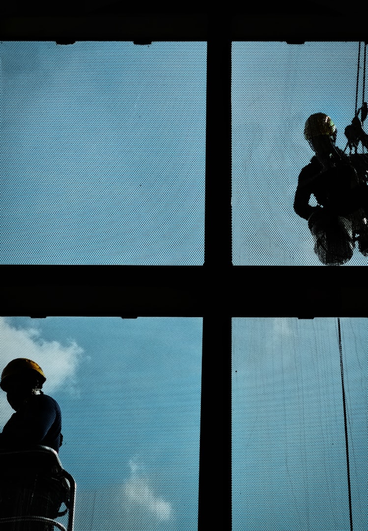 Window Washing